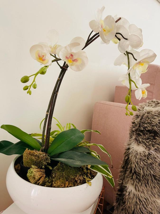 Le Nid Douillet De Patricia Apartment Париж Екстериор снимка